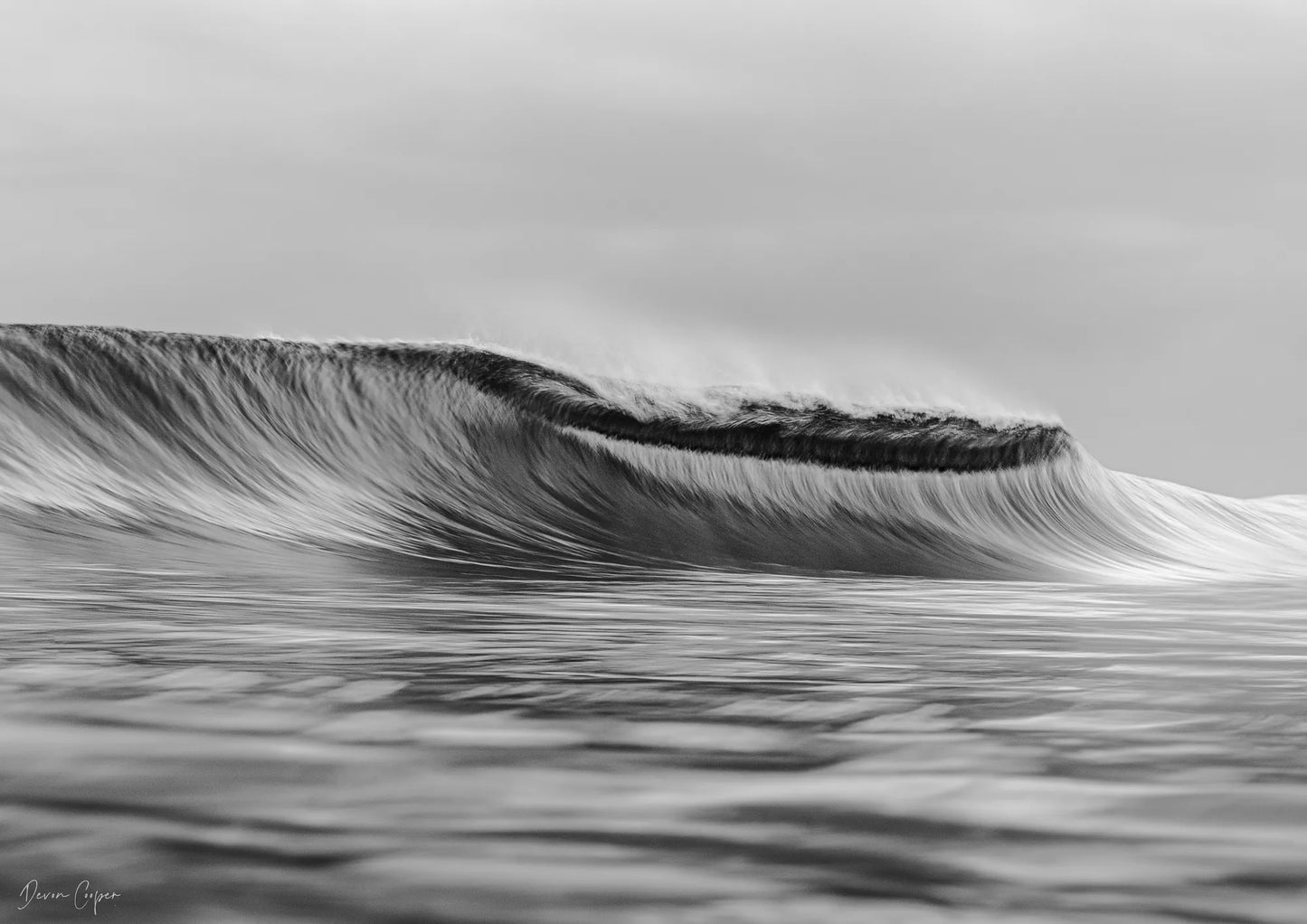 Waves In Motion I