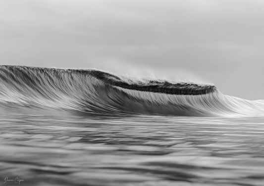 Waves In Motion I